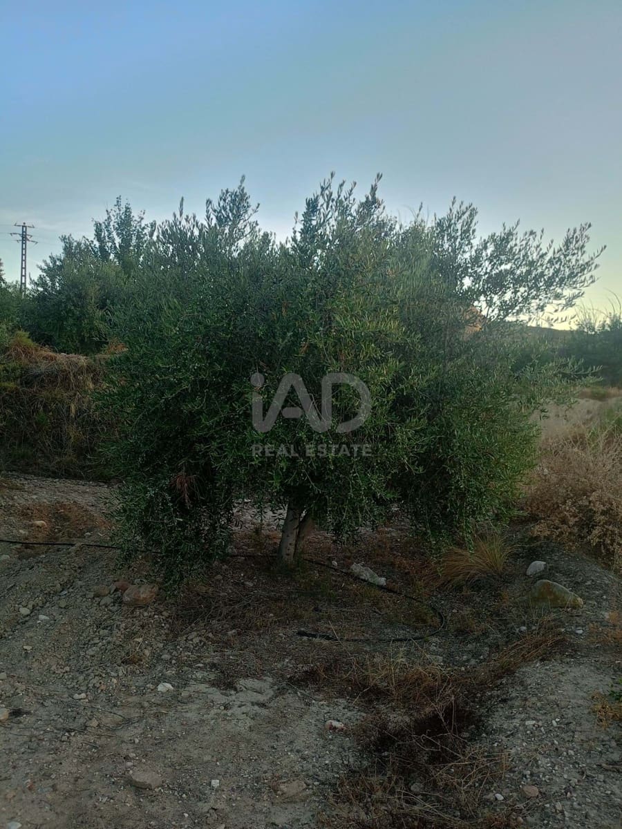 Grond te koop in Lorca - € 66.000 (Ref: 9988755)