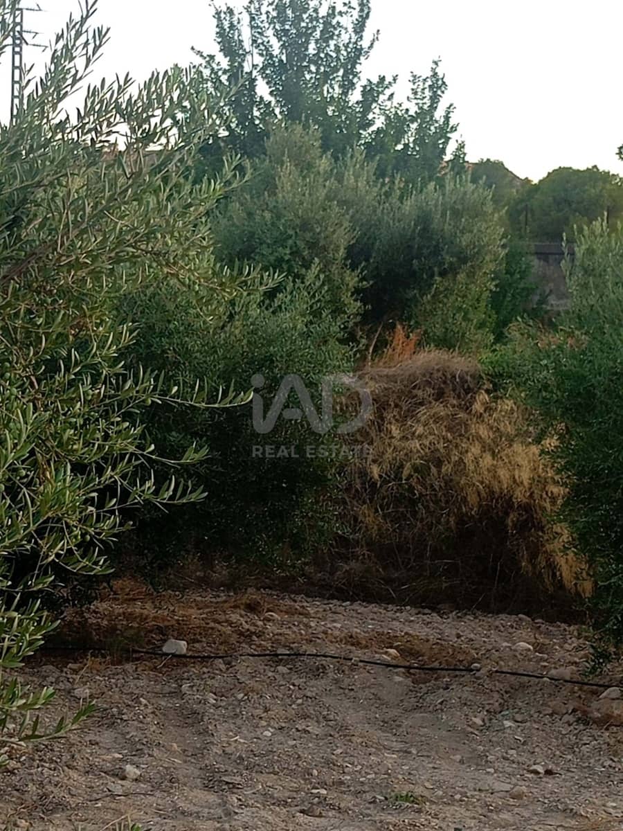 Grond te koop in Lorca - € 66.000 (Ref: 9988755)