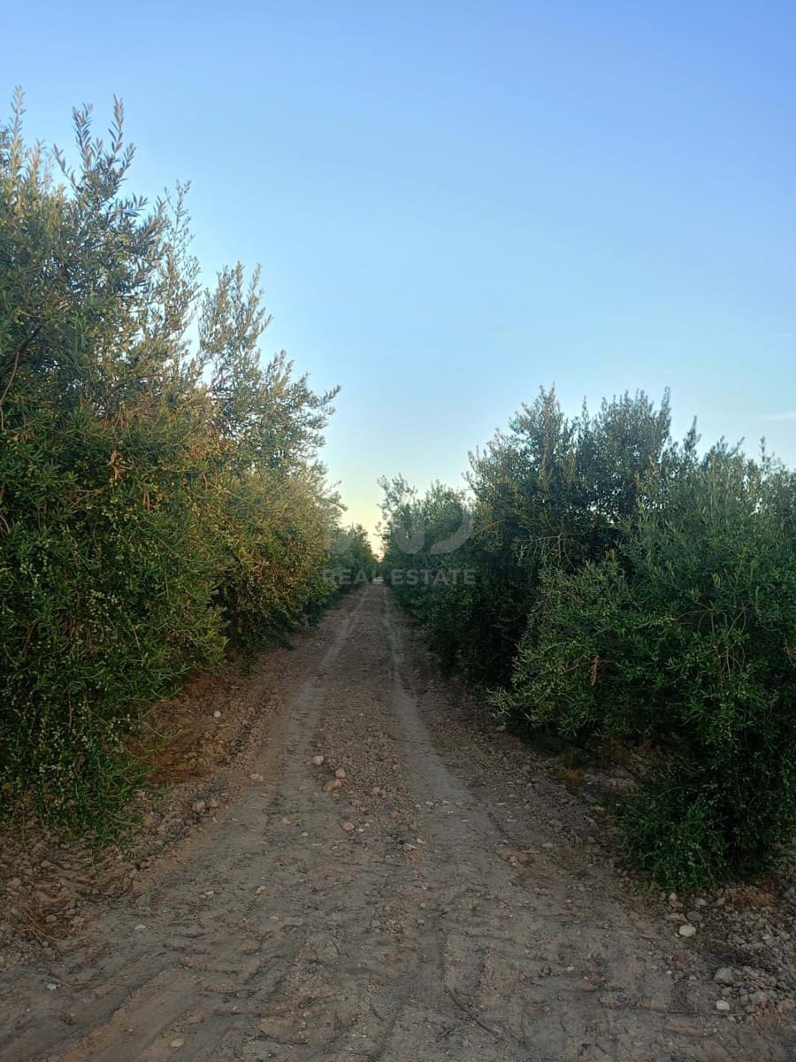 Grond te koop in Lorca - € 66.000 (Ref: 9988755)