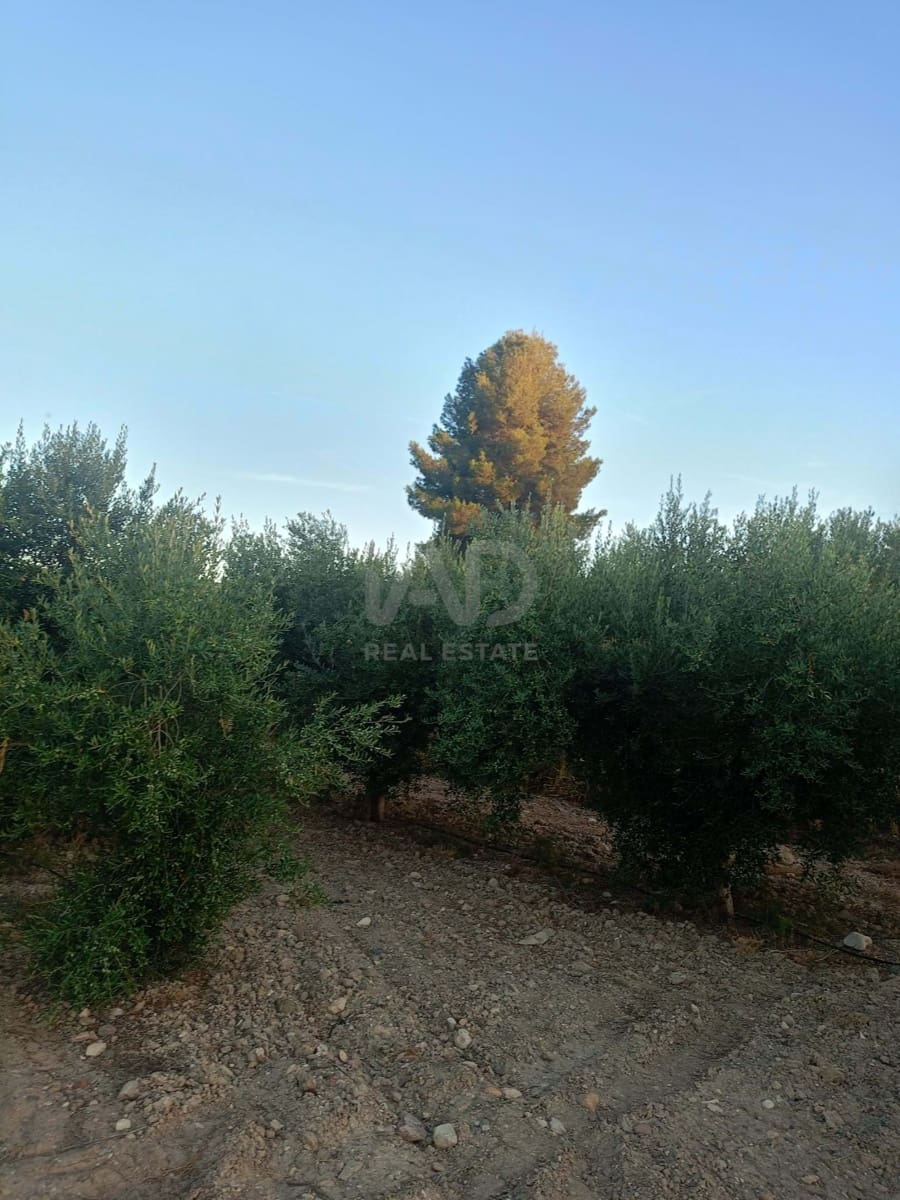Grond te koop in Lorca - € 66.000 (Ref: 9988755)