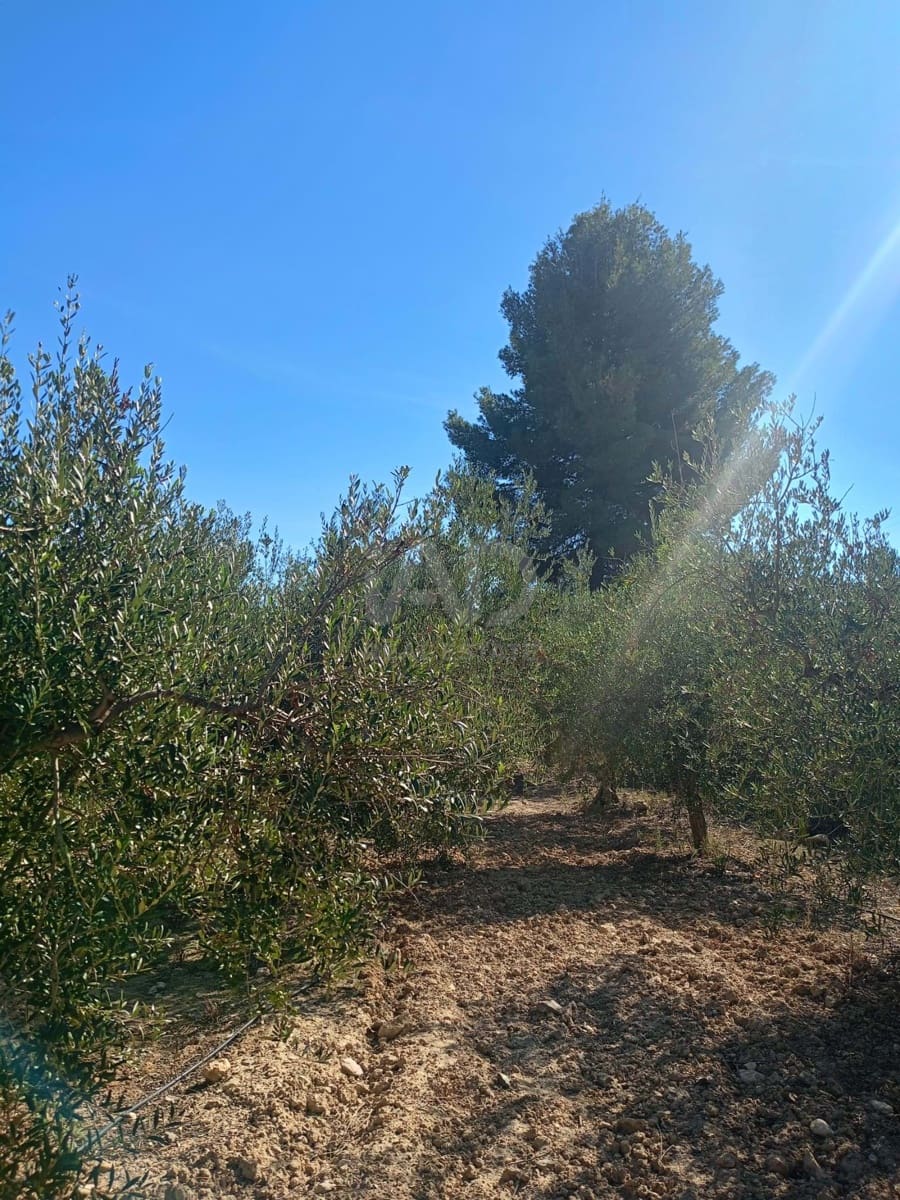 Grond te koop in Lorca - € 66.000 (Ref: 9988755)