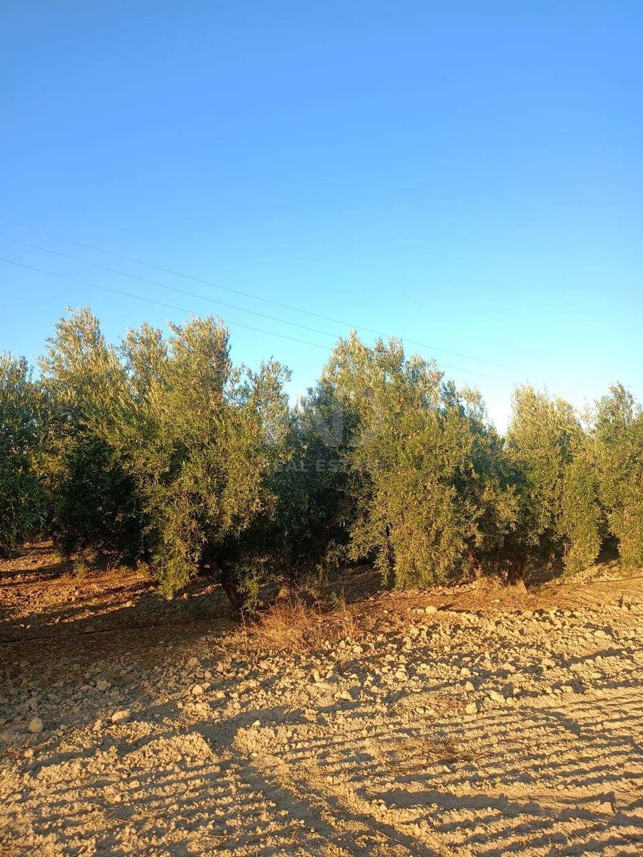 Grond te koop in Lorca - € 66.000 (Ref: 9988755)