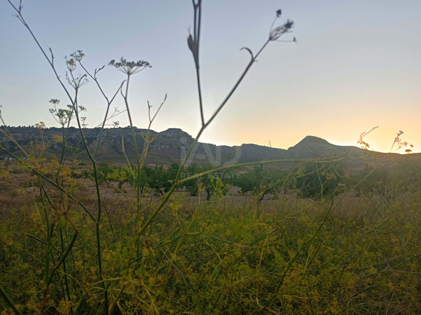 Grond te koop in Lorca - € 66.000 (Ref: 9988755)