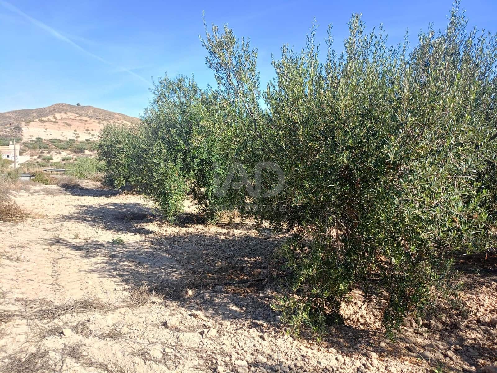 Grond te koop in Lorca - € 66.000 (Ref: 9988755)
