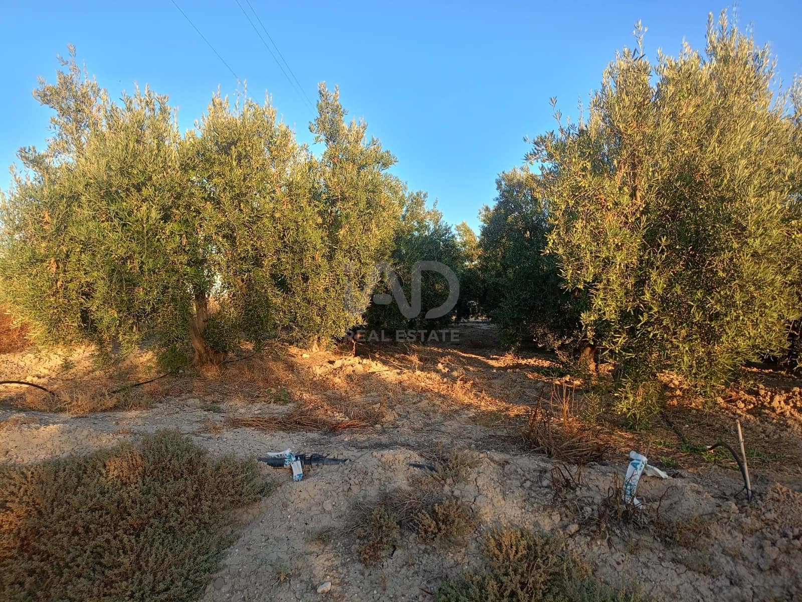 Grond te koop in Lorca - € 66.000 (Ref: 9988755)