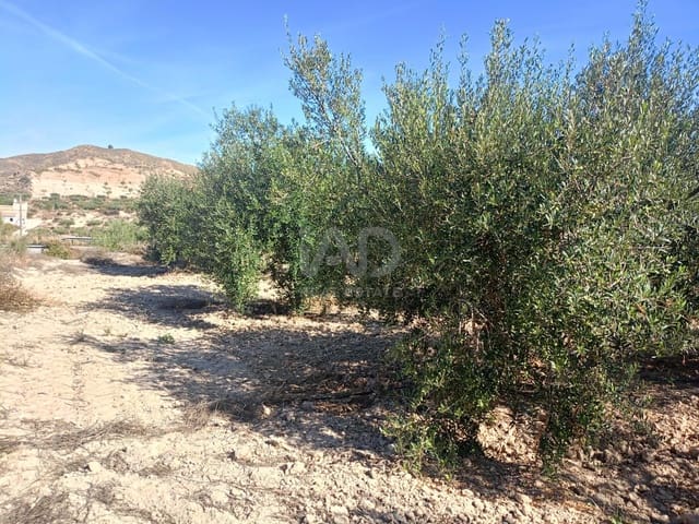 Grond te koop in Lorca - € 66.000 (Ref: 9988755)