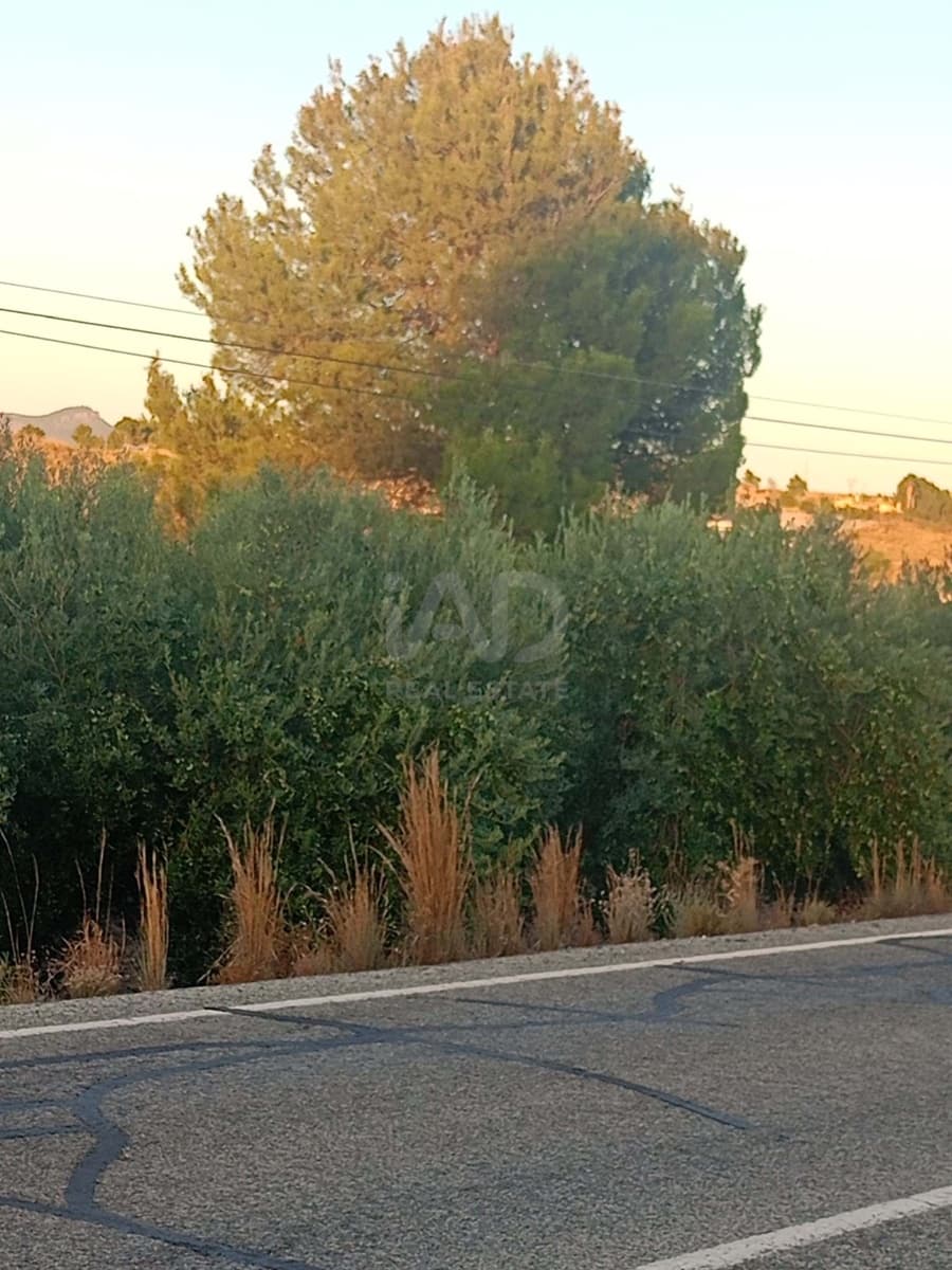 Grond te koop in Lorca - € 66.000 (Ref: 9988755)