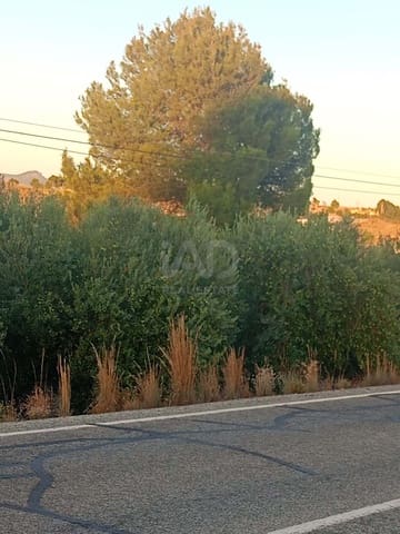 Grond te koop in Lorca - € 66.000 (Ref: 9988755)