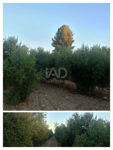 Grond te koop in Lorca - € 66.000 (Ref: 9988755)