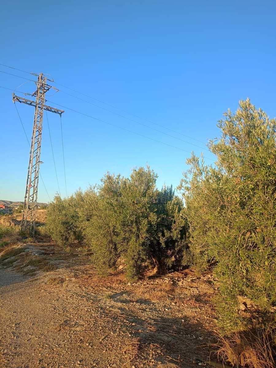 Grond te koop in Lorca - € 66.000 (Ref: 9988755)