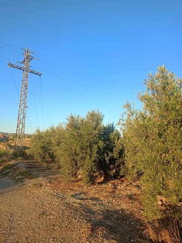 Grond te koop in Lorca - € 66.000 (Ref: 9988755)