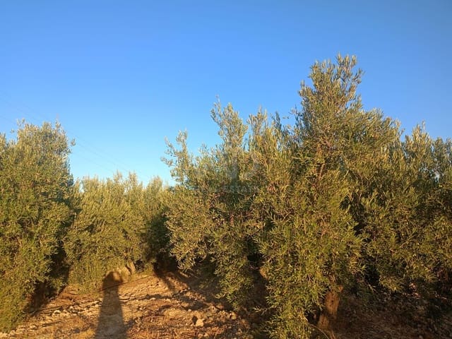 Grond te koop in Lorca - € 66.000 (Ref: 9988755)