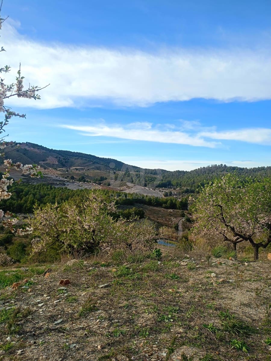 3 Zimmer Finca/Landgut zu verkaufen in Lorca - 72.000 € (Ref: 9988757)