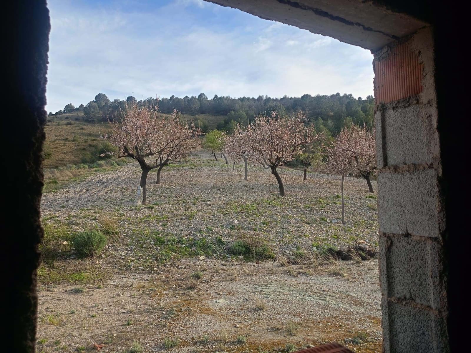 3 Zimmer Finca/Landgut zu verkaufen in Lorca - 72.000 € (Ref: 9988757)