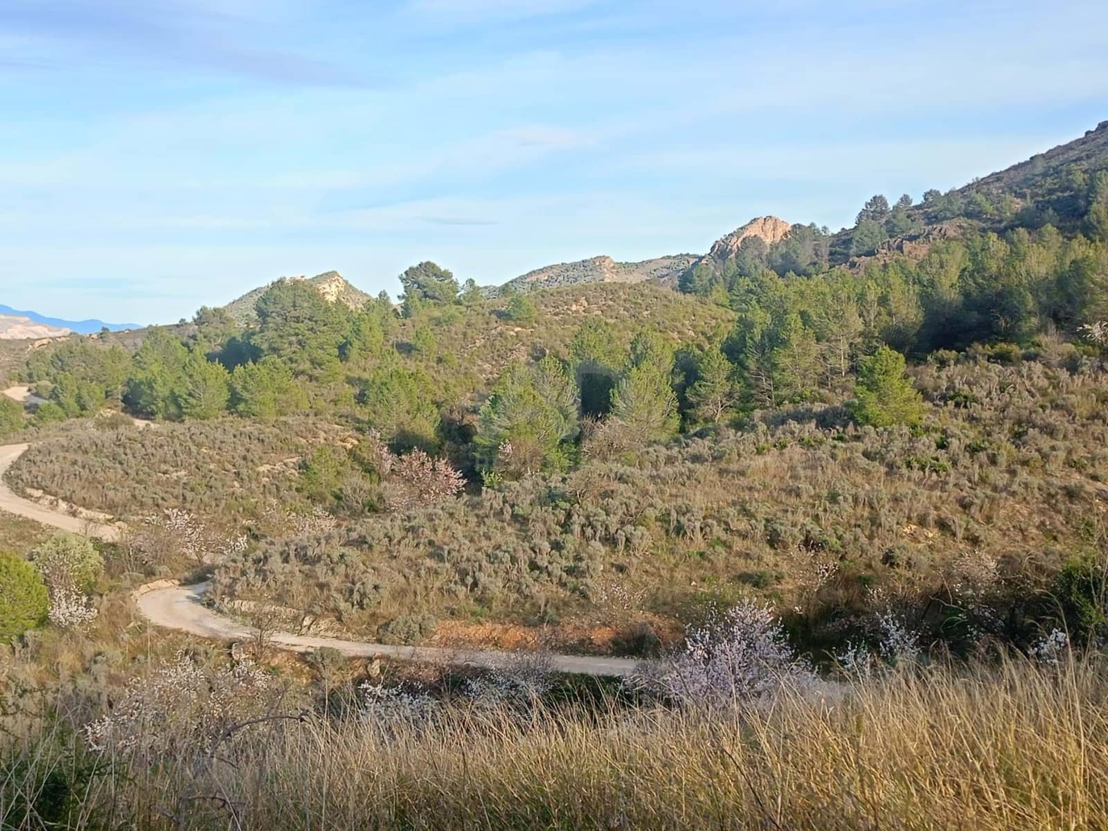 3 Zimmer Finca/Landgut zu verkaufen in Lorca - 72.000 € (Ref: 9988757)