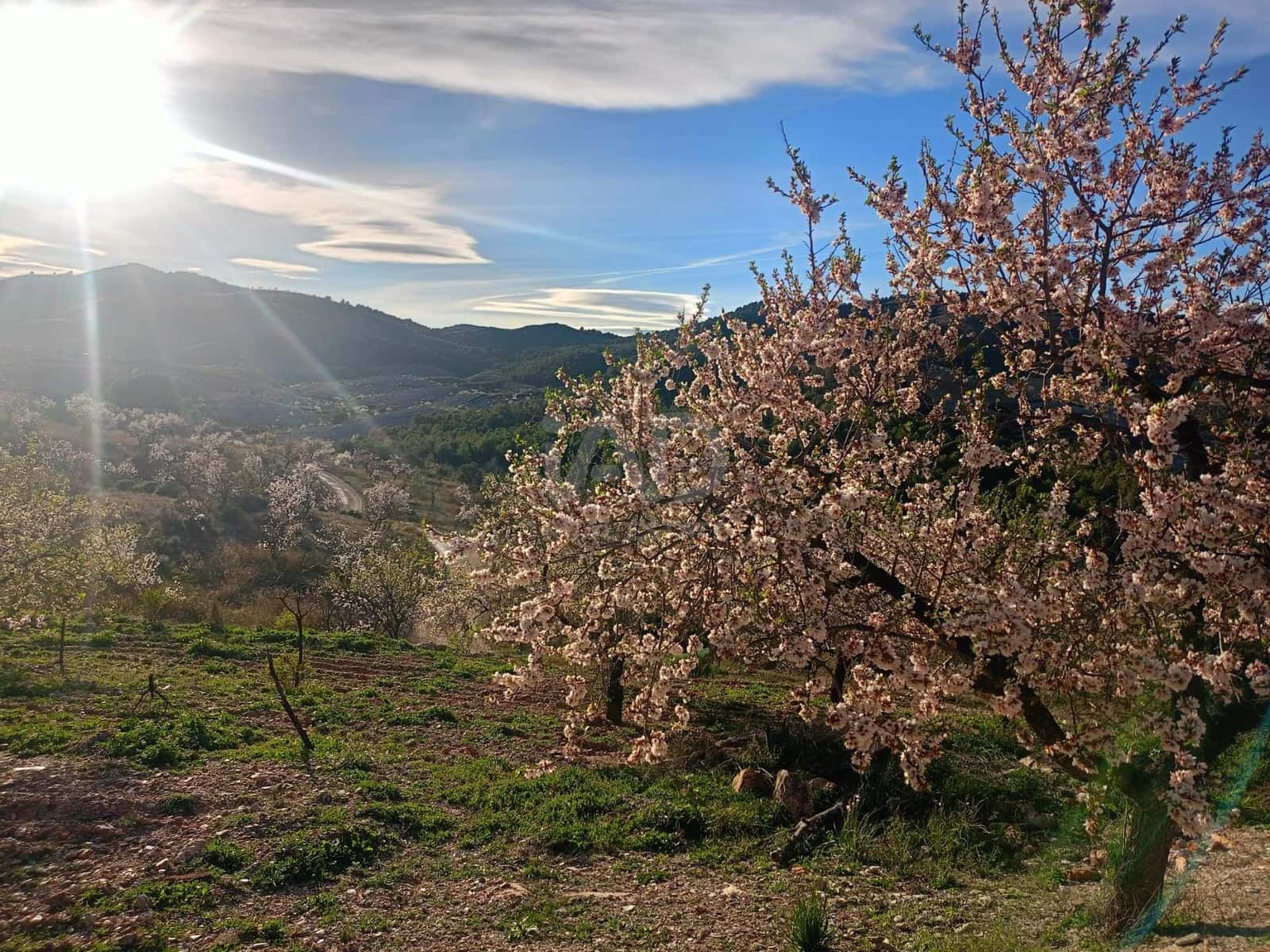3 Zimmer Finca/Landgut zu verkaufen in Lorca - 72.000 € (Ref: 9988757)