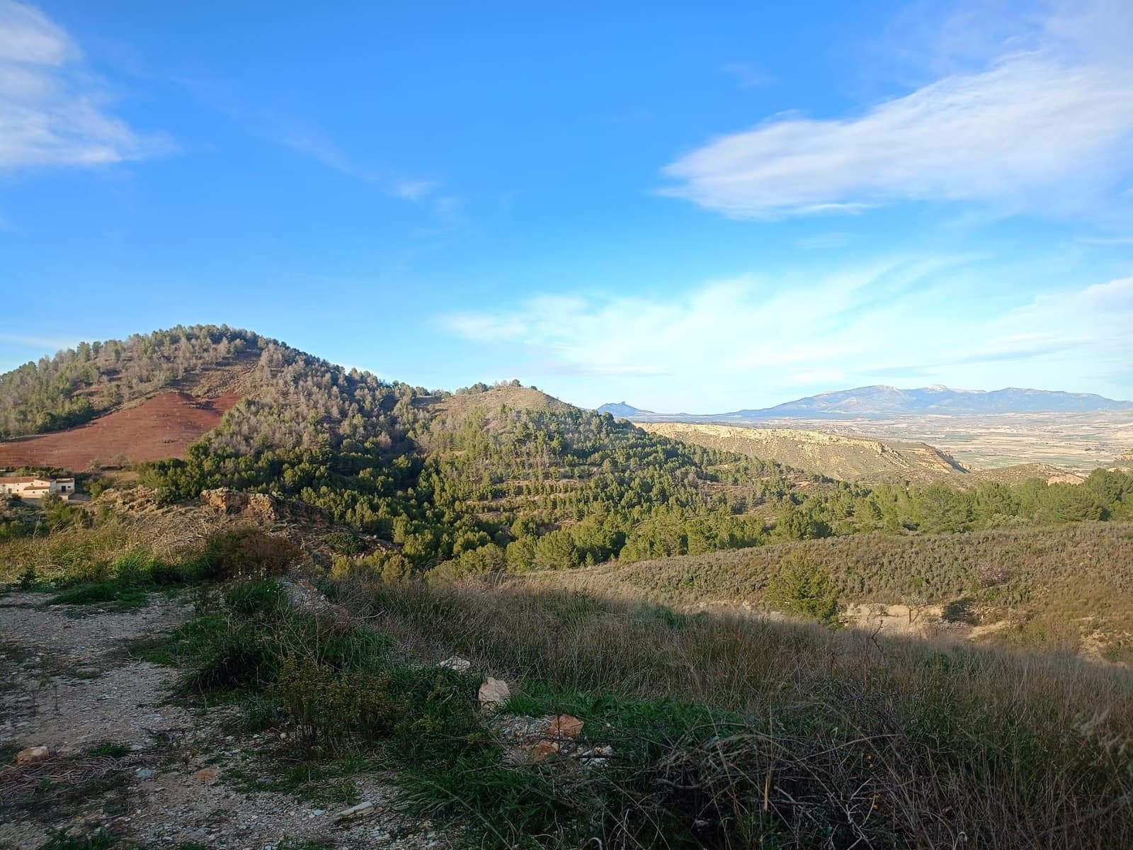 3 Zimmer Finca/Landgut zu verkaufen in Lorca - 72.000 € (Ref: 9988757)