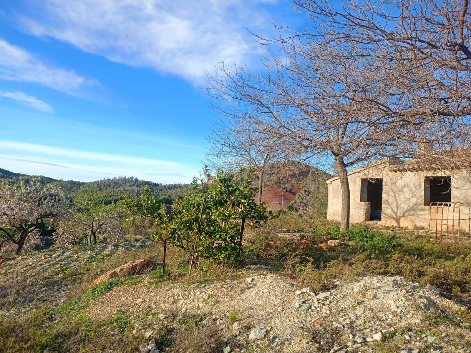 3 Zimmer Finca/Landgut zu verkaufen in Lorca - 72.000 € (Ref: 9988757)