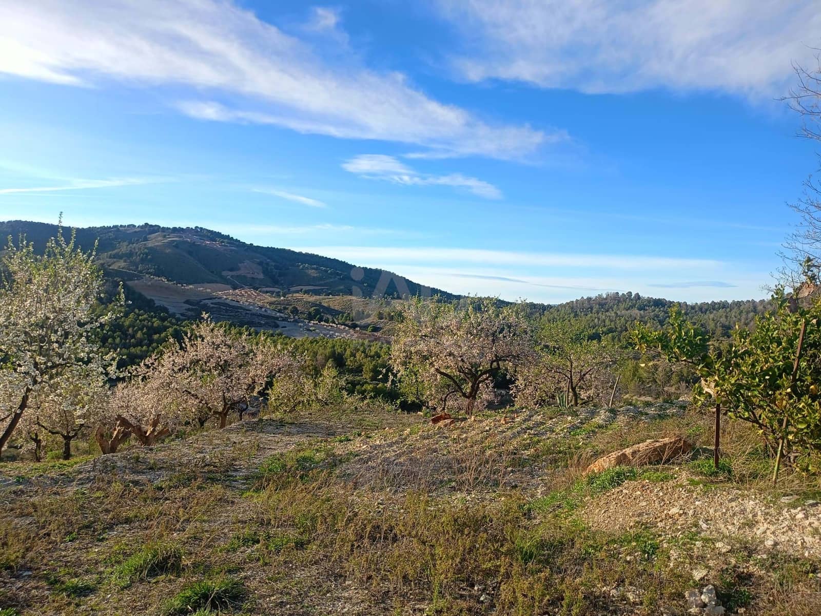 3 Zimmer Finca/Landgut zu verkaufen in Lorca - 72.000 € (Ref: 9988757)