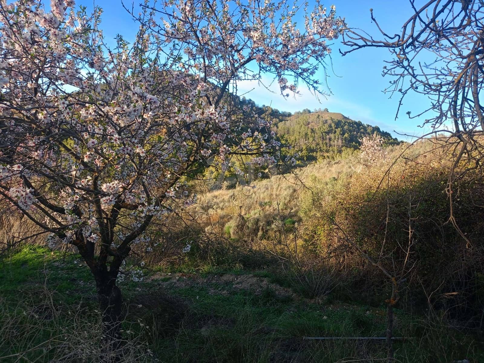 3 Zimmer Finca/Landgut zu verkaufen in Lorca - 72.000 € (Ref: 9988757)