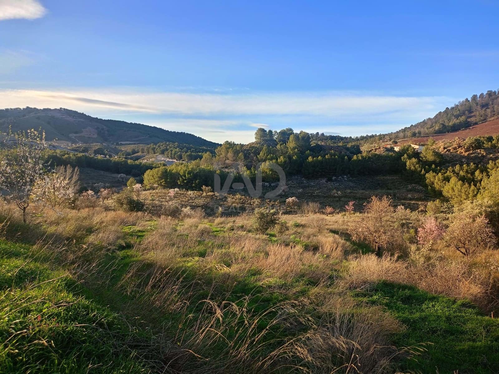 3 Zimmer Finca/Landgut zu verkaufen in Lorca - 72.000 € (Ref: 9988757)