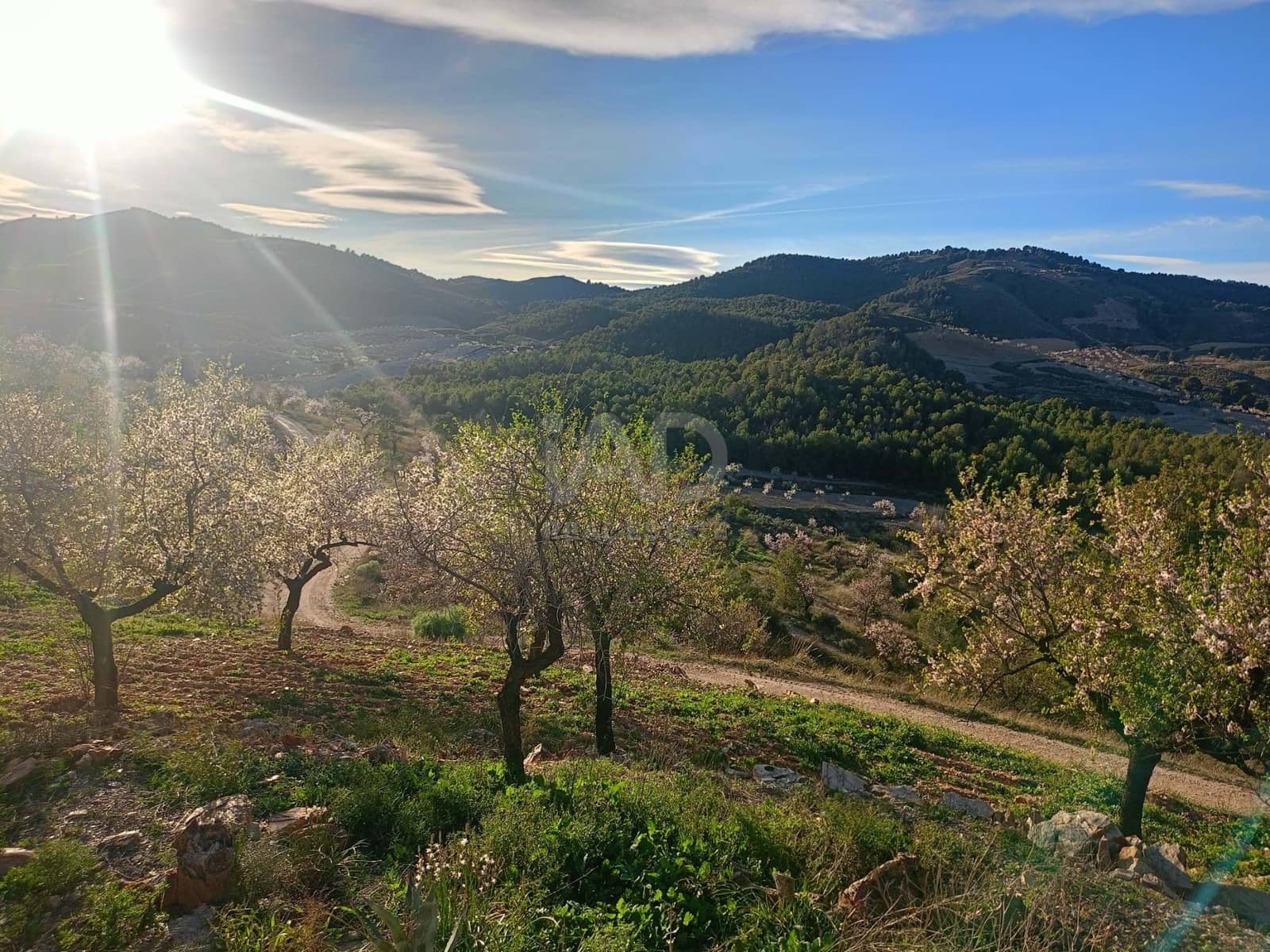 3 Zimmer Finca/Landgut zu verkaufen in Lorca - 72.000 € (Ref: 9988757)