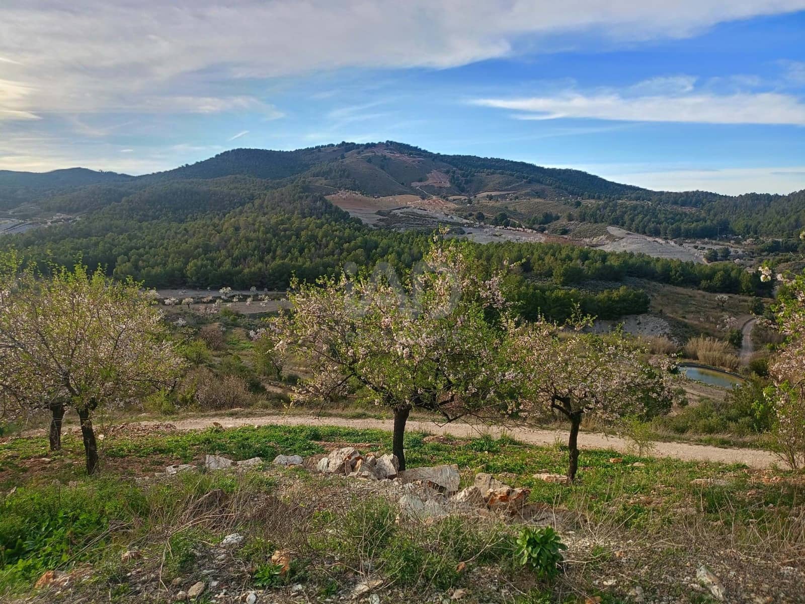 3 Zimmer Finca/Landgut zu verkaufen in Lorca - 72.000 € (Ref: 9988757)