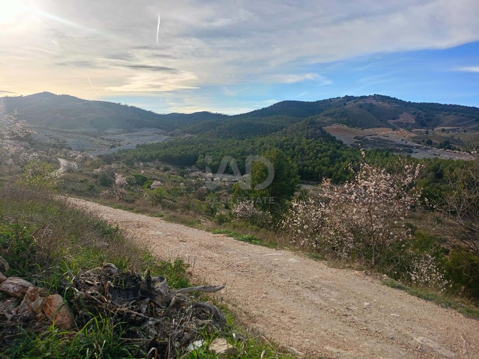 3 Zimmer Finca/Landgut zu verkaufen in Lorca - 72.000 € (Ref: 9988757)