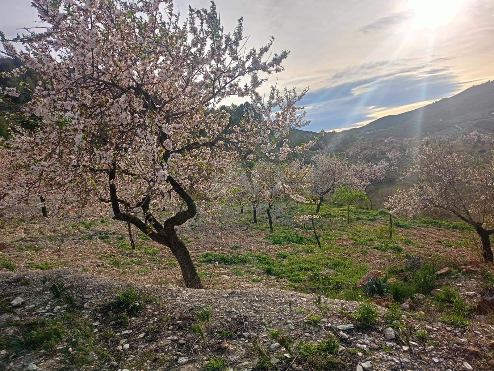 3 Zimmer Finca/Landgut zu verkaufen in Lorca - 72.000 € (Ref: 9988757)