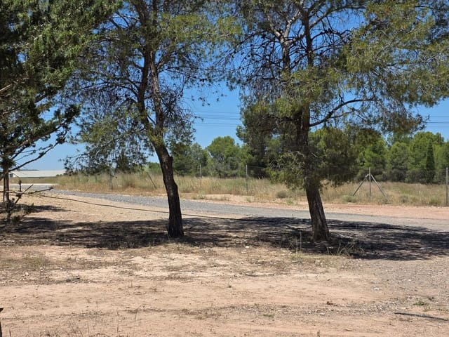 Grond te koop in Calasparra - € 50.000 (Ref: 9988760)