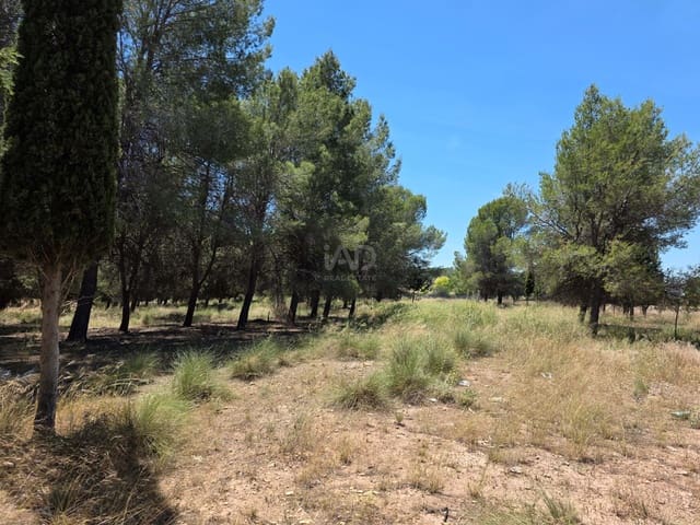 Grond te koop in Calasparra - € 50.000 (Ref: 9988760)