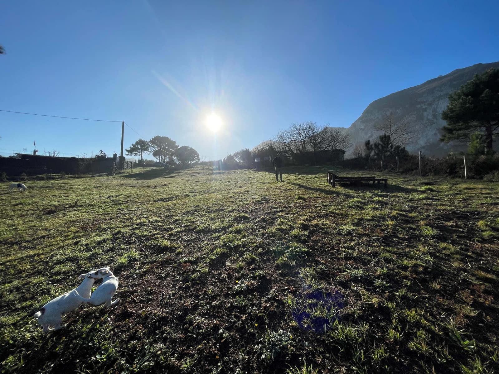 Ubebygd land til salgs i Castro-Urdiales - € 70 000 (Ref: 9988766)