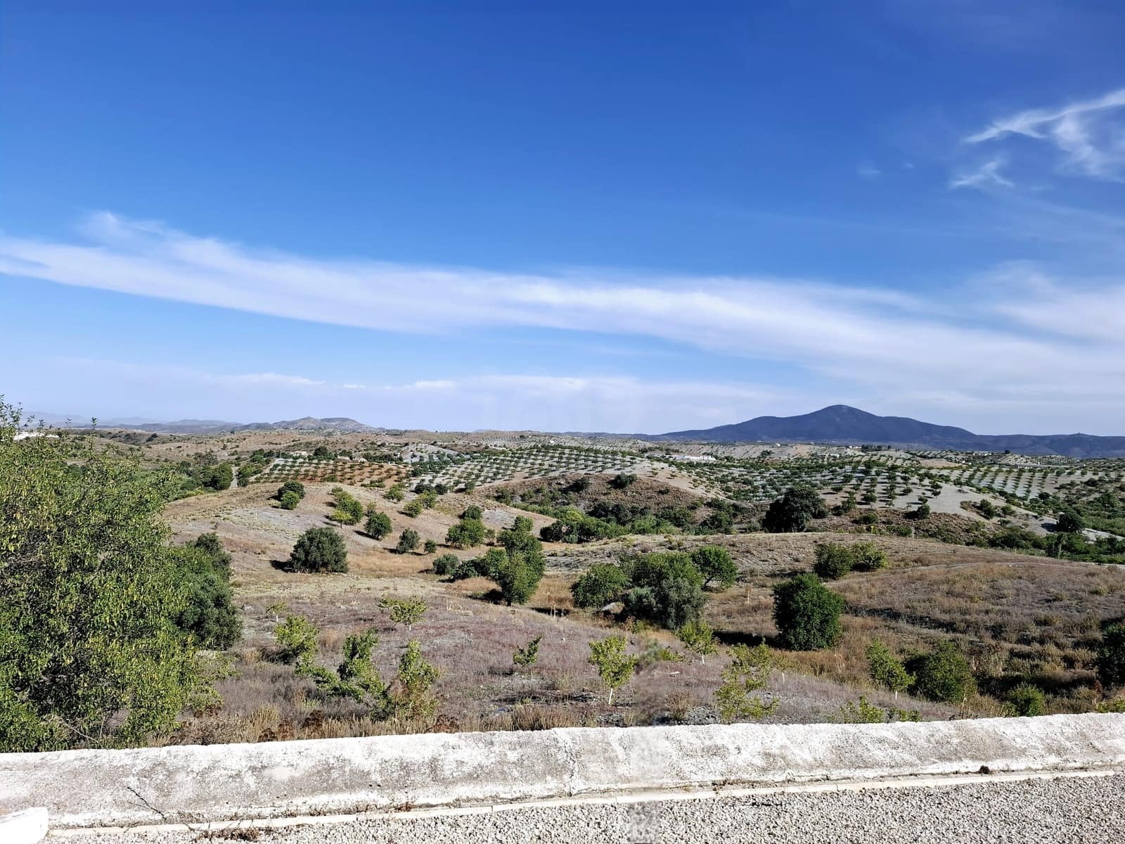 Hus till salu i Lorca - 359 000 € (Ref: 9988767)