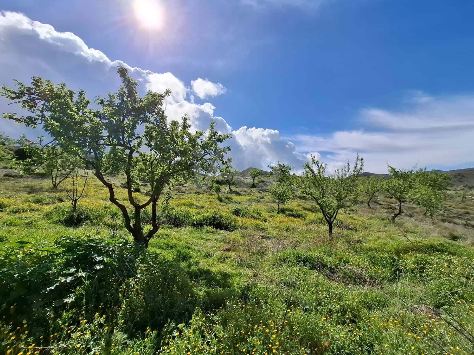 2 Zimmer Finca/Landgut zu verkaufen in Lorca - 76.500 € (Ref: 9988769)