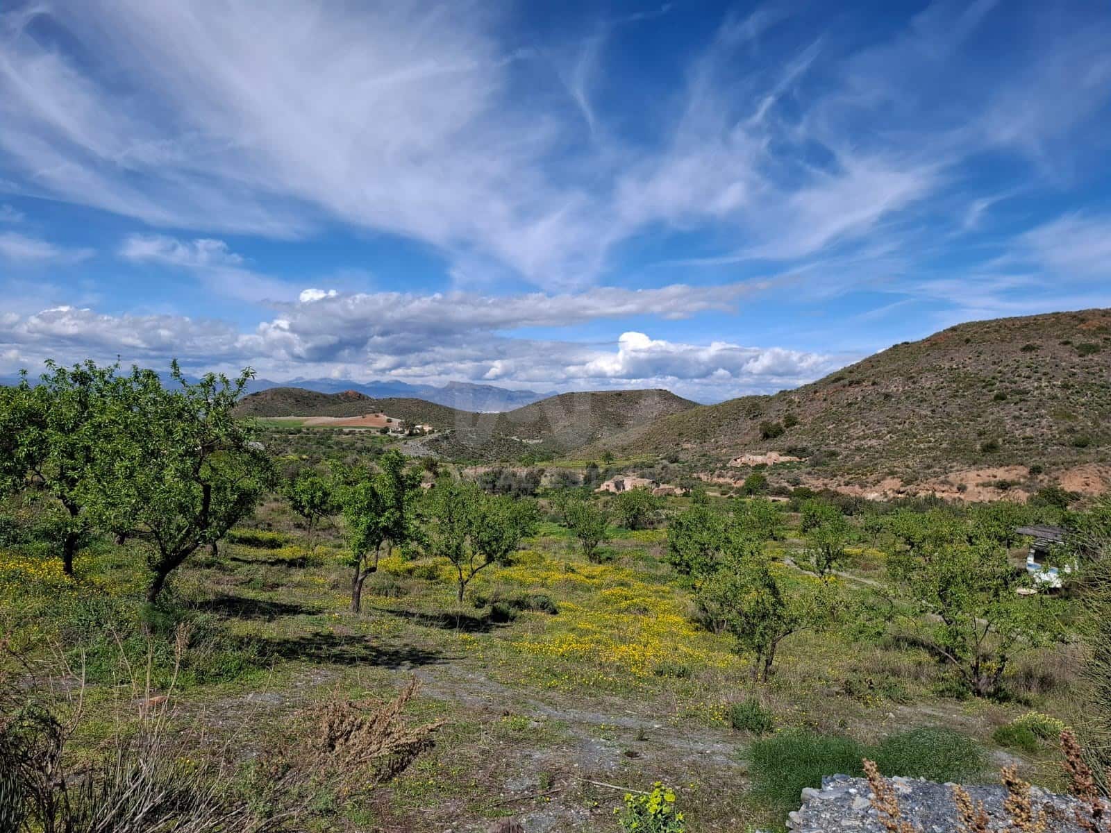 2 Zimmer Finca/Landgut zu verkaufen in Lorca - 76.500 € (Ref: 9988769)