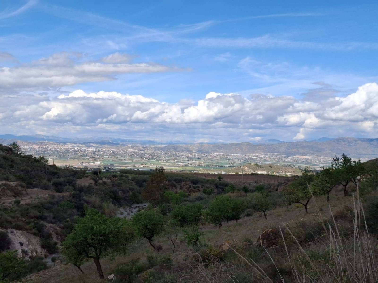 2 Zimmer Finca/Landgut zu verkaufen in Lorca - 76.500 € (Ref: 9988769)