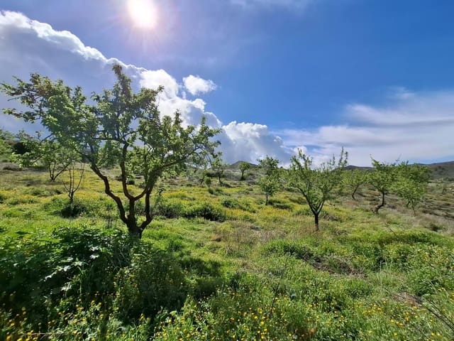 2 Zimmer Finca/Landgut zu verkaufen in Lorca - 76.500 € (Ref: 9988769)