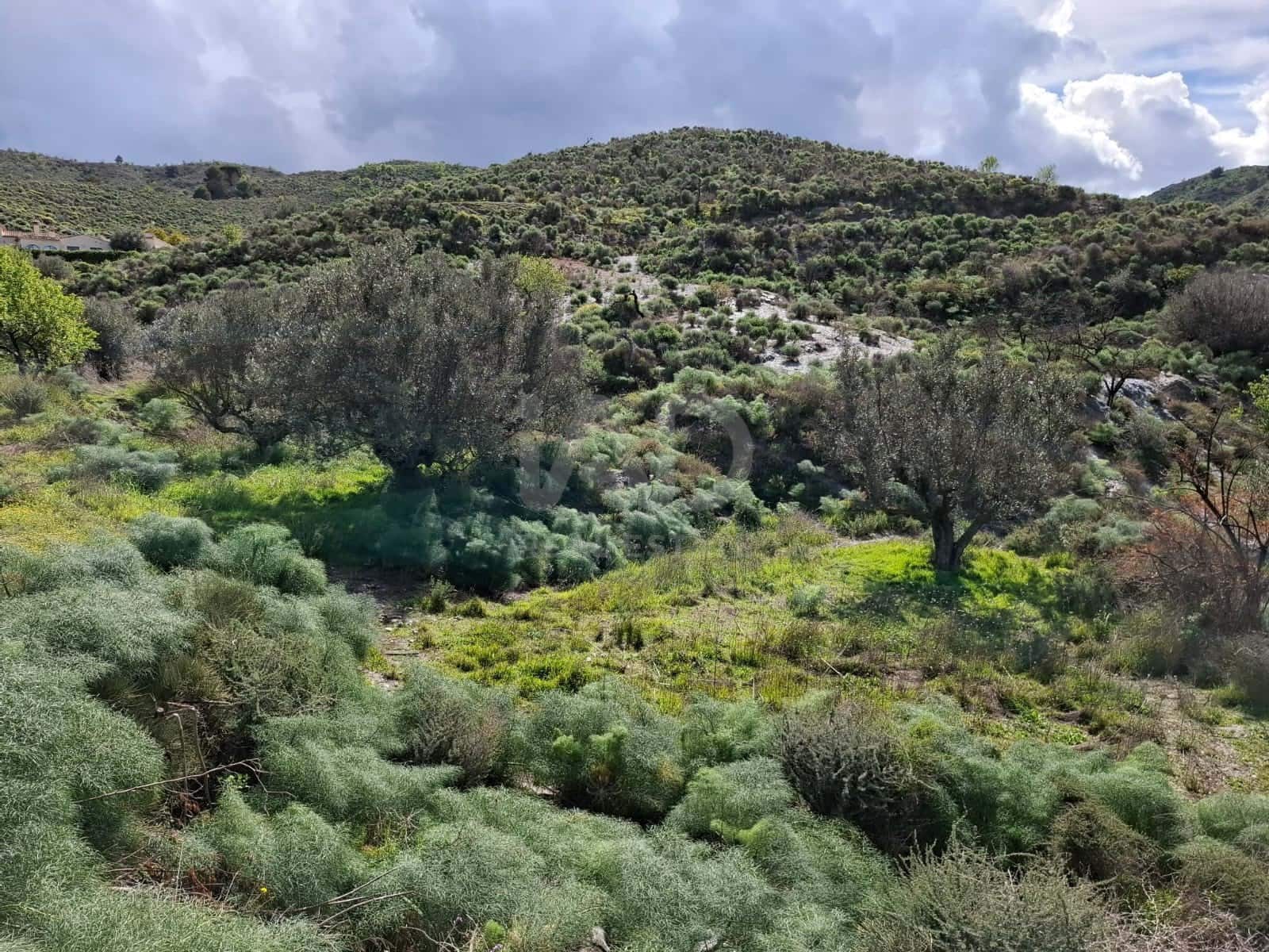 2 Zimmer Finca/Landgut zu verkaufen in Lorca - 76.500 € (Ref: 9988769)