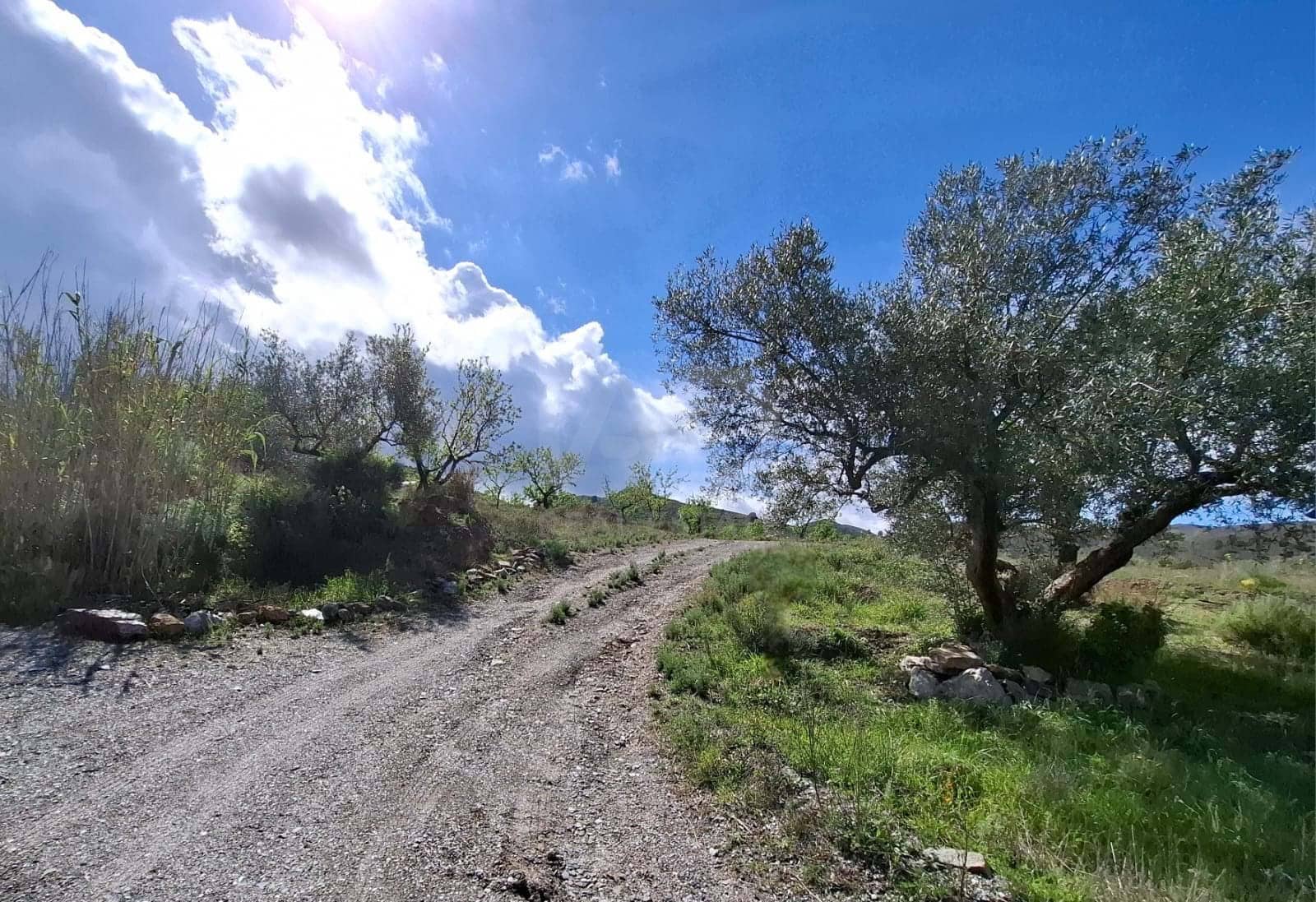 2 Zimmer Finca/Landgut zu verkaufen in Lorca - 76.500 € (Ref: 9988769)