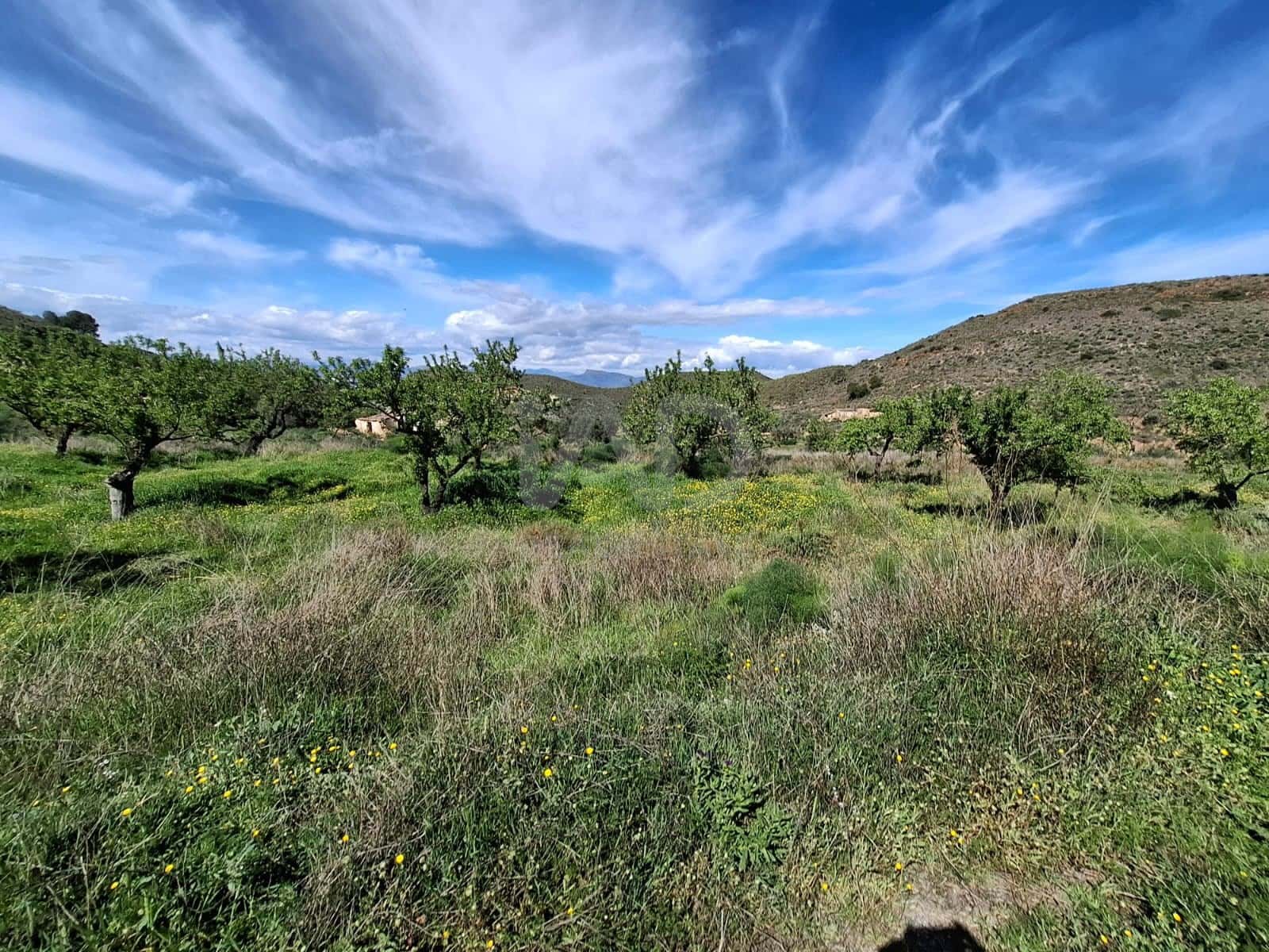 2 Zimmer Finca/Landgut zu verkaufen in Lorca - 76.500 € (Ref: 9988769)
