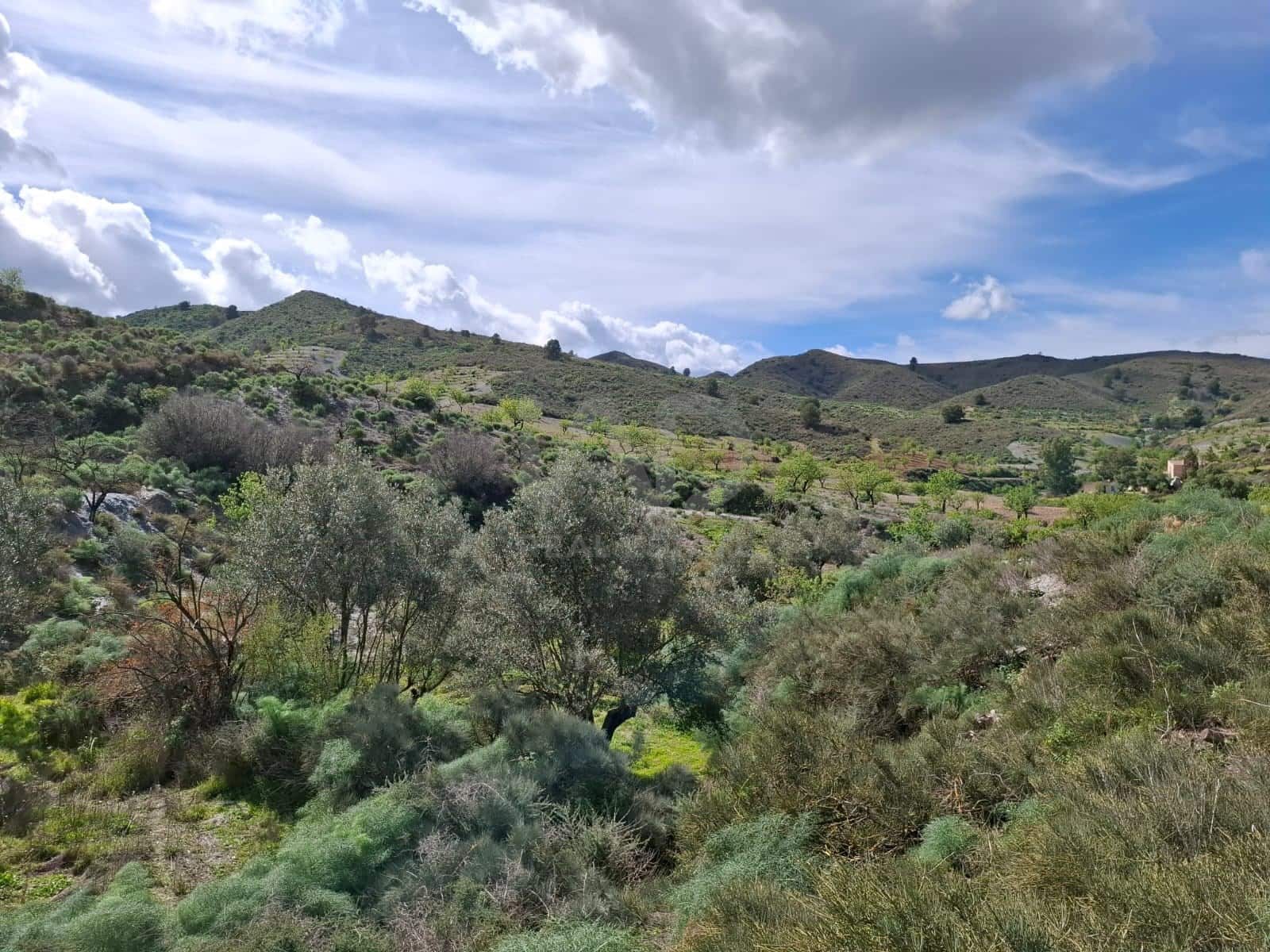 2 Zimmer Finca/Landgut zu verkaufen in Lorca - 76.500 € (Ref: 9988769)