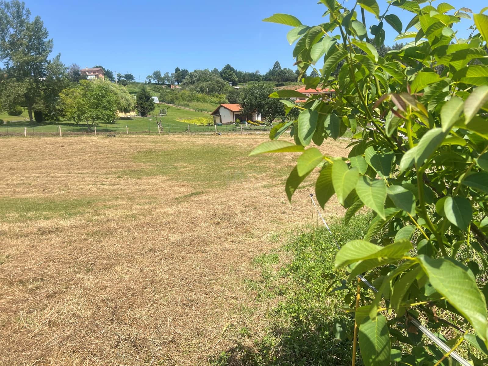 Terreno/Finca Rústica en Castrillón en venta - 74.900 € (Ref: 9988771)
