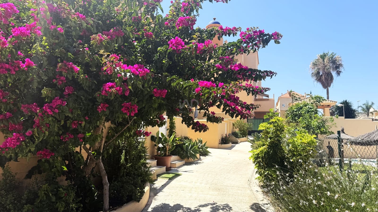 1 sovrum Takvåning till salu i Cadiz stad med pool garage - 458 000 € (Ref: 9988773)