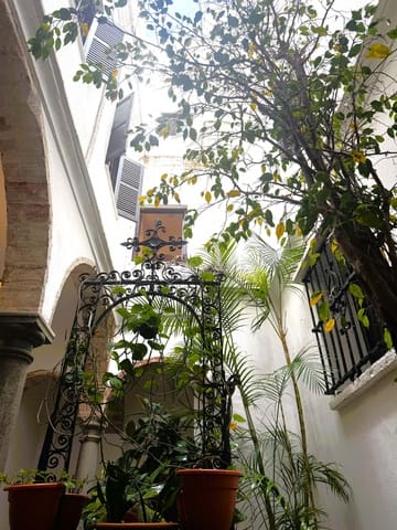 1 soverom Penthouse til salgs i Cádiz by - € 261 000 (Ref: 9988784)