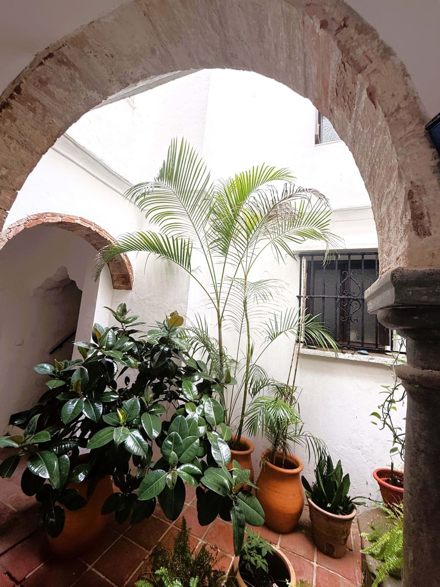1 soverom Penthouse til salgs i Cadiz by - € 261 000 (Ref: 9988784)
