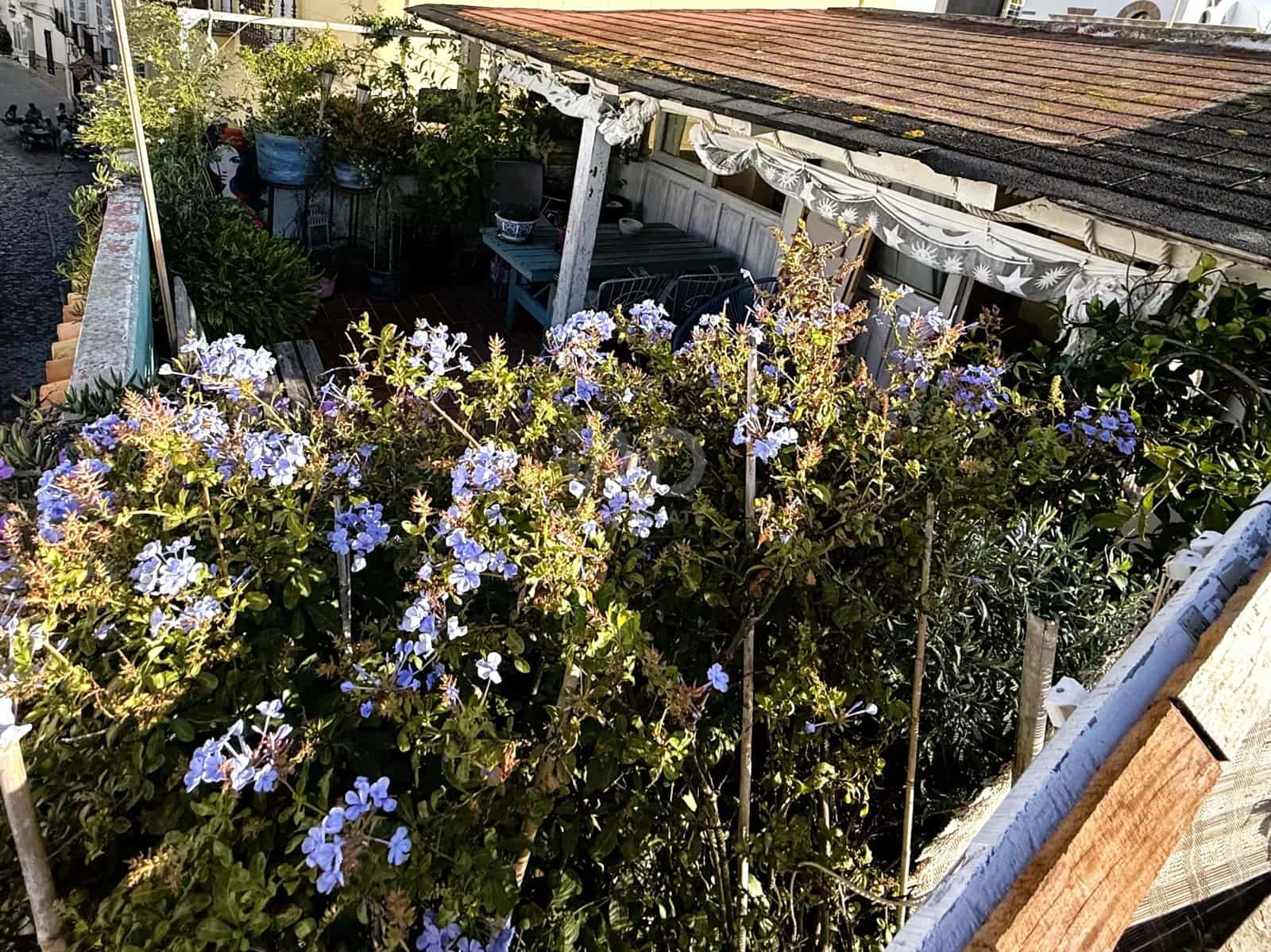 1 soverom Penthouse til salgs i Cadiz by - € 261 000 (Ref: 9988784)