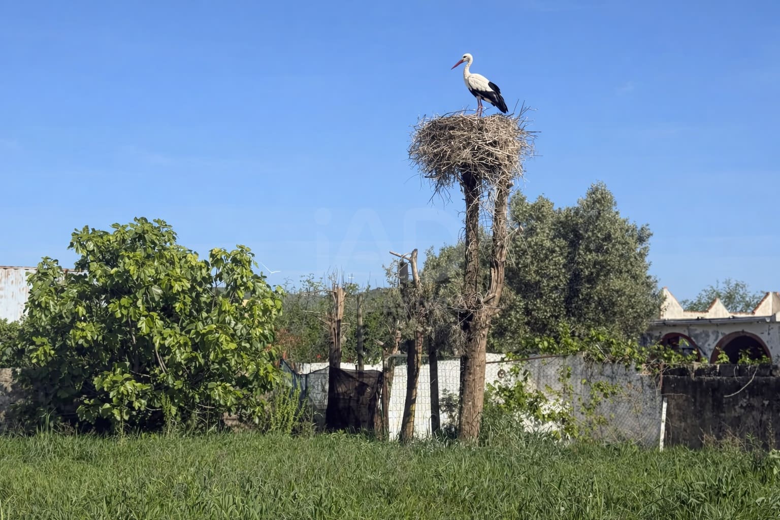 Grunde uden byggetilladelser til salg i Cadiz by - € 189.500 (Ref: 9988794)