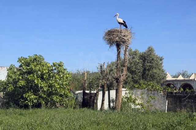 Grunde uden byggetilladelser til salg i Cádiz by - € 189.500 (Ref: 9988794)