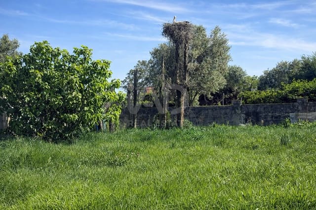 Grunde uden byggetilladelser til salg i Cádiz by - € 189.500 (Ref: 9988794)
