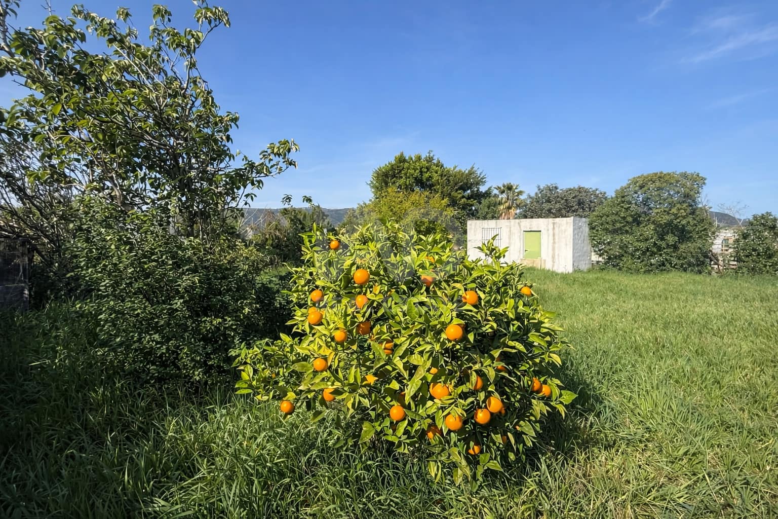 Grunde uden byggetilladelser til salg i Cadiz by - € 189.500 (Ref: 9988794)